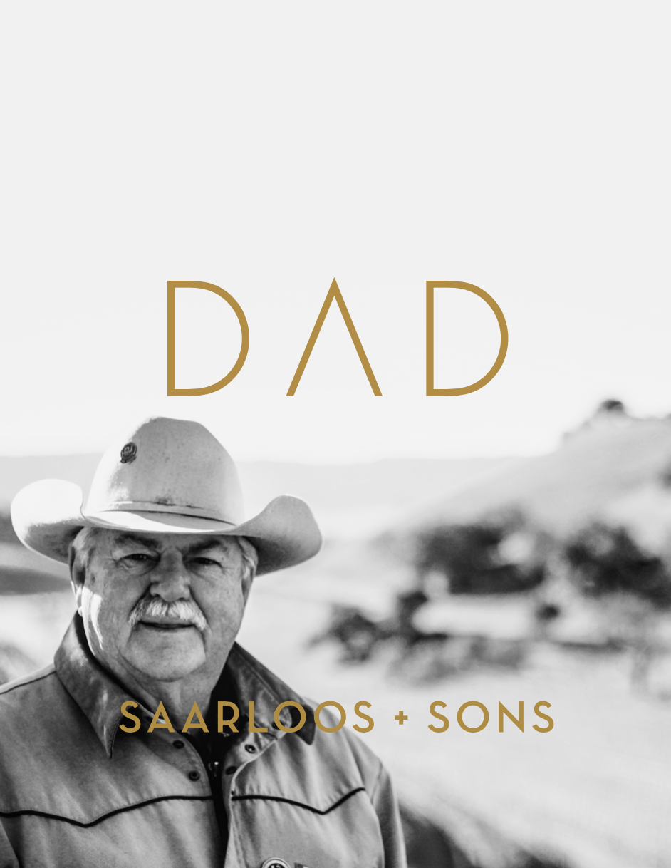 DAD - Mourvedre - Less than 15 Cases Available — SAARLOOS + sons